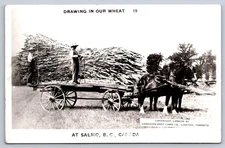 Salmo British Columbia Exaggerated Wheat Harvest RPPC Postcard Posted 1940s