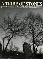 A tribue of stones jewish cemeteries in Poland - Monika Krajewska