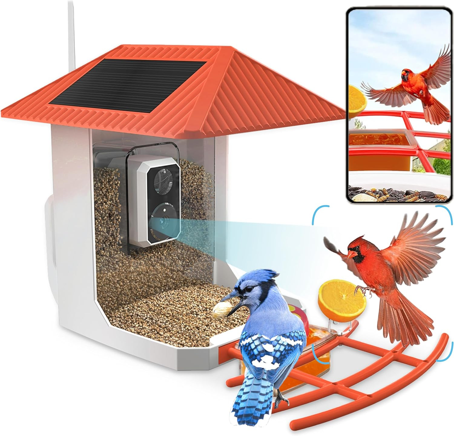 2.5K Smart Bird Feeder with Camera, 5Ghz &2.4Ghz Birds Watching Camera with AI I