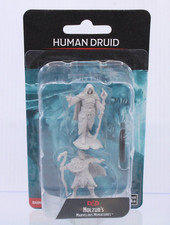 W Wizkids Nolzur's Marvelous Miniatures HUMAN BARD Dungeons  Dragons Figure Set