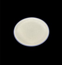 Thomas Family Blue Kuchenteller 20cm Mehr Da 