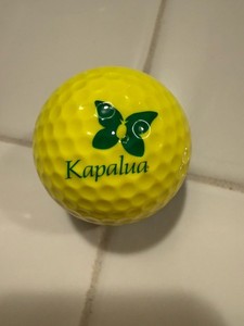 Collector’s Favorite-Ping Eye 2 Yellow/Green Kapalua Variety-Awesome! Mint!