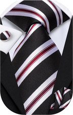 Mens Paisley Floral Silk Tie for Men Striped Necktie and Pocket Square Cufflinks