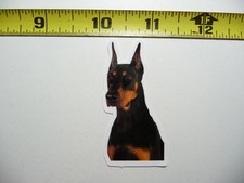 LOYAL DOBERMAN PINSCHER FUNNY SMALL STICKER DECAL CUT PET DOG PUPPY FUN