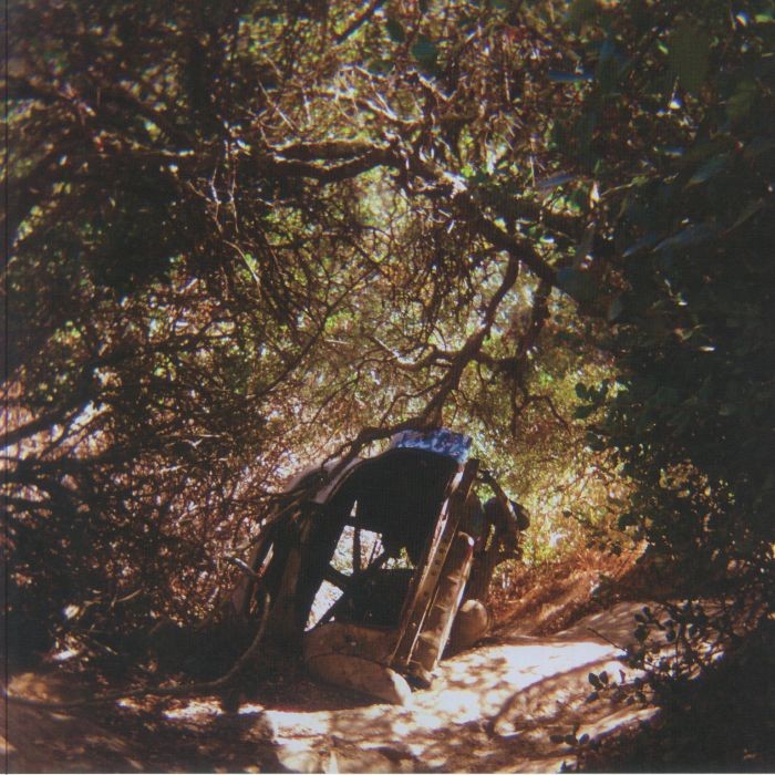 SEGALL, Ty - Possession - Vinyl (LP)