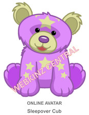 Webkinz Classic Sleepover Cub Code Only messaged