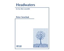 HEADWATERS FOR LOW FLUTE ENSEMBLE MUSIC BOOK PETER SENCHUK THEODORE PRESSER NEW