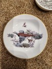 England Royal Worcester Fine Bone China Pheasant Dish Style 51 — photo 2