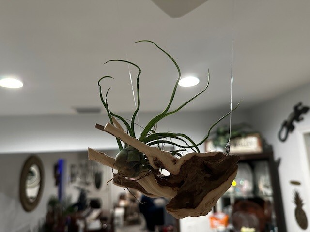 Picture 3 of 9