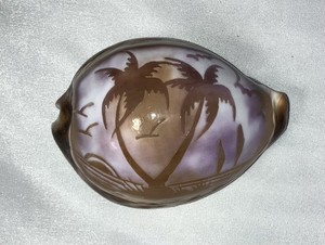 Genuine Hand-Carved Tiger Cowrie Shell Scrimshaw Art 3-1/2" BEACH PALM TREES