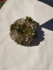 Plafonnier fleurs de lotus  Nacre Rausch Capiz/plafonnier 70's laiton