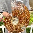Foto 3 di 9