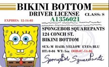 Funny SpongeBob Squarepants Boat License  NEW
