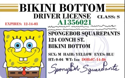 Funny SpongeBob Squarepants Boat License  NEW