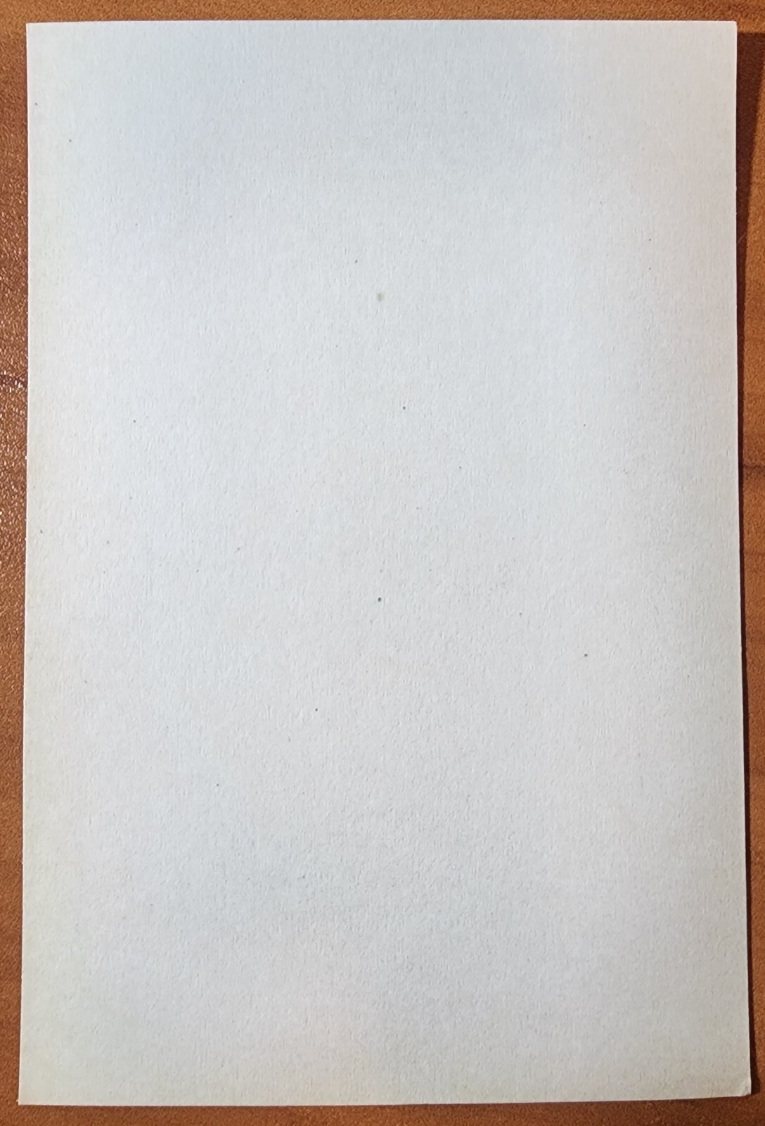 Bernard Kobel Traditional Tattoo Photo B&W Vintage Tattooed Woman Chest Swallows