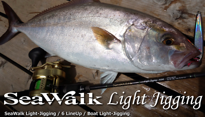 Yamaga Blanks Seawalk Light Jigging B66L Baitcast Rod Made in