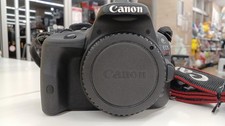 CANON DS126441 Digital SLR Body