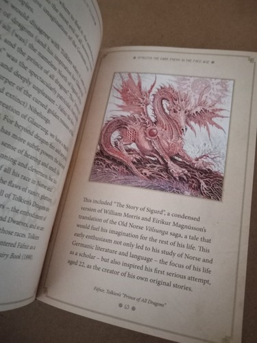 The Dark Powers of Tolkien ILLUSTRATED David Day Faux Leather Engraved 2019 LOTR - Imagen 4 de 5