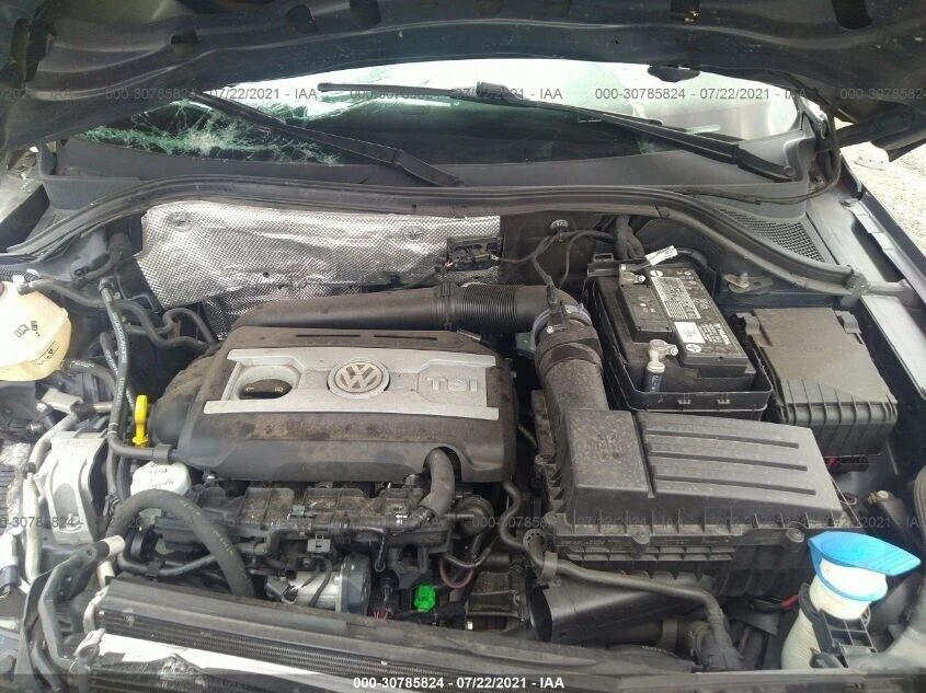 09 11 12 13 14 15 16 17 VW TIGUAN REAR RIGHT PASS WINDOW WEATHERSTRIP SEAL OEM - Image 4 of 4