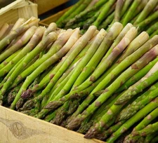 5 "Mary Washington" Asparagus Tubers - Edible Vegetable - US Seller