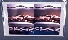 Boris Starosta 3D Stereoview - Liz 2419 - nude model signed 2005 #163
