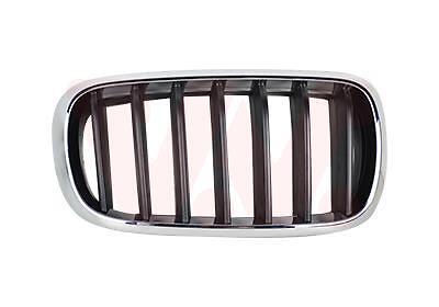 VAN WEZEL Kühlergitter 0690512 für BMW 5410909695651 | eBay
