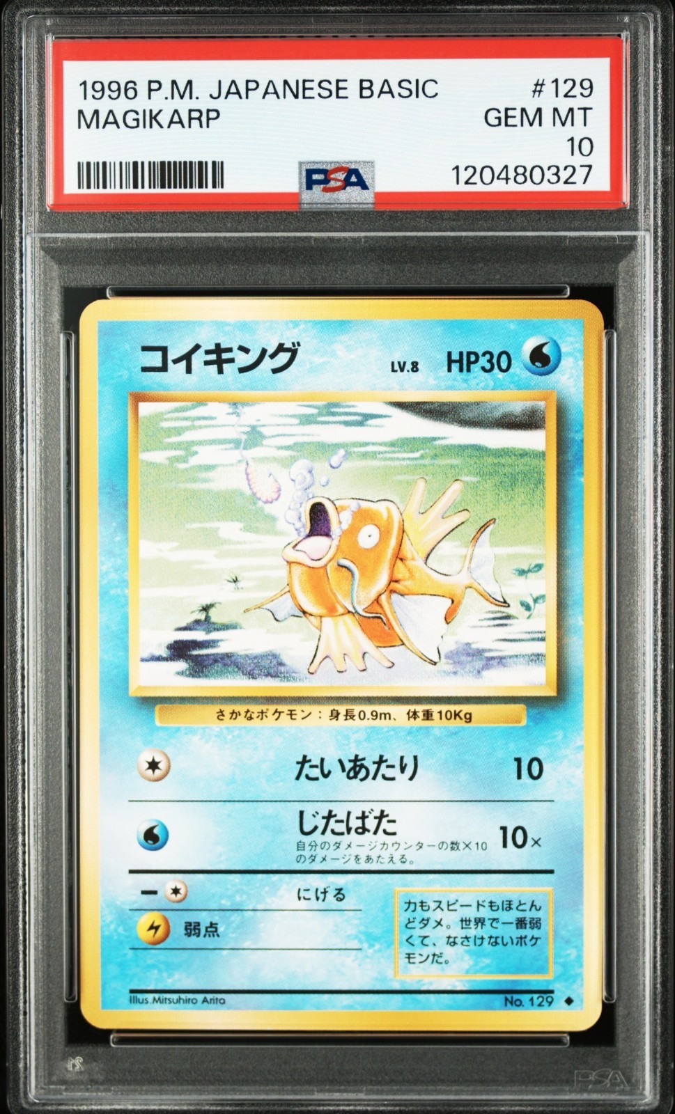 PSA 10 Magikarp 1996 Japanese Base Set #129 Pokemon Card GEM MINT from Japan
