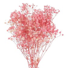 Artificial Dried Baby's Breath Flowers 12 Inch Gypsophila Light Pink Natural ...
