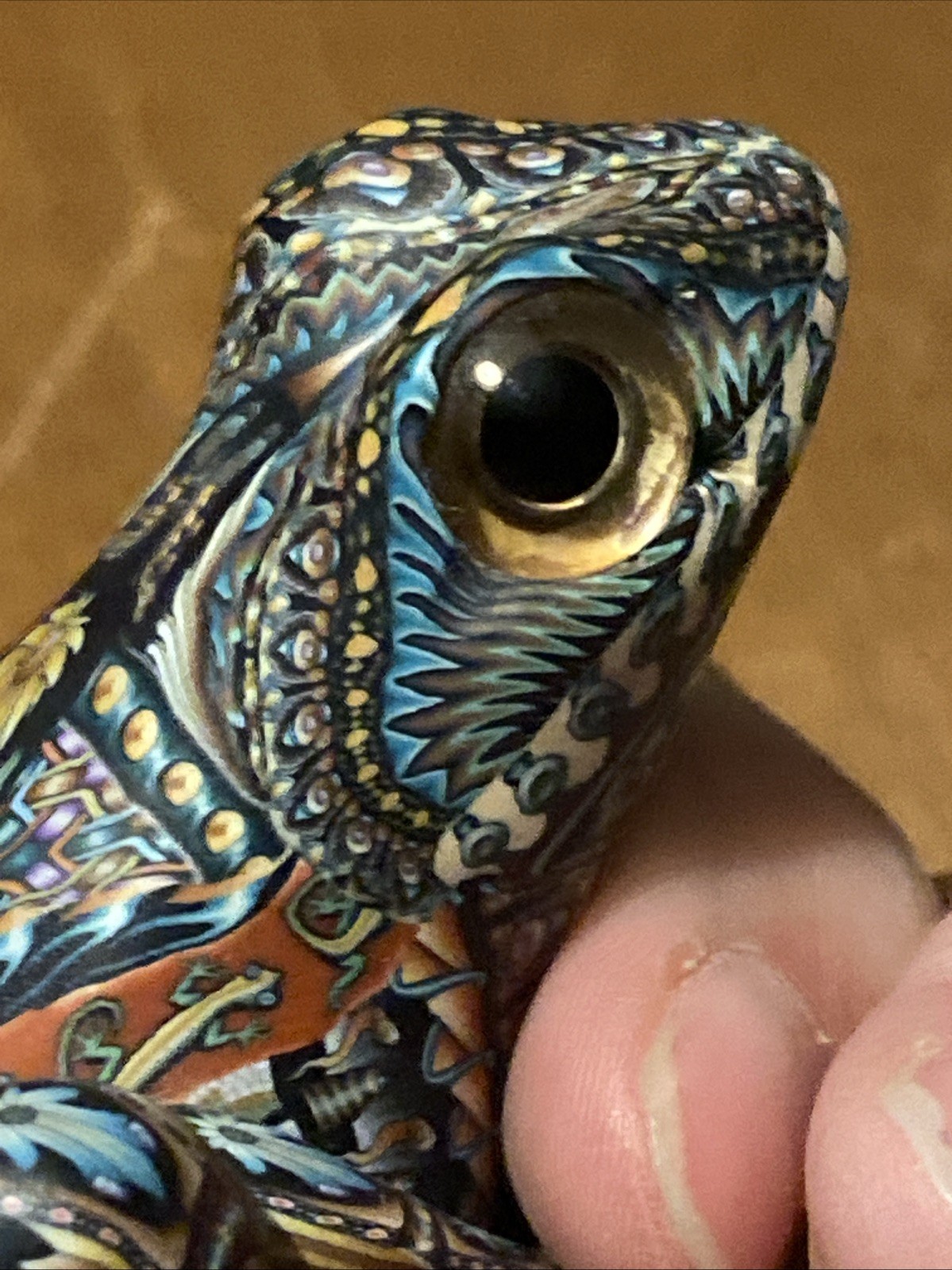 Picture 16 of 17