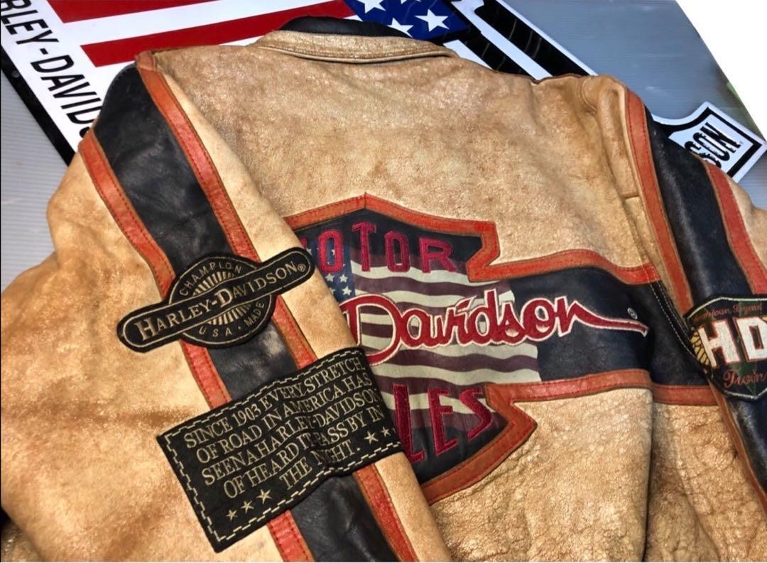 [Rare] Harley-Davidson Distressed finish leather jacket Size: L limited From JP image 2