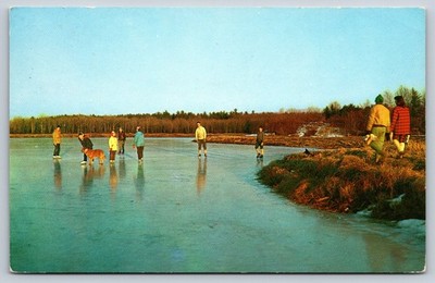 Cape Cod Cranberry Bog Ocean Spray Hanson Massachusetts Postcard Ice Skating