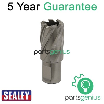 Sealey Worksafe �� 23 mm HSS Mag Bohrer Schnitttiefe 25 mm RBHSS23S