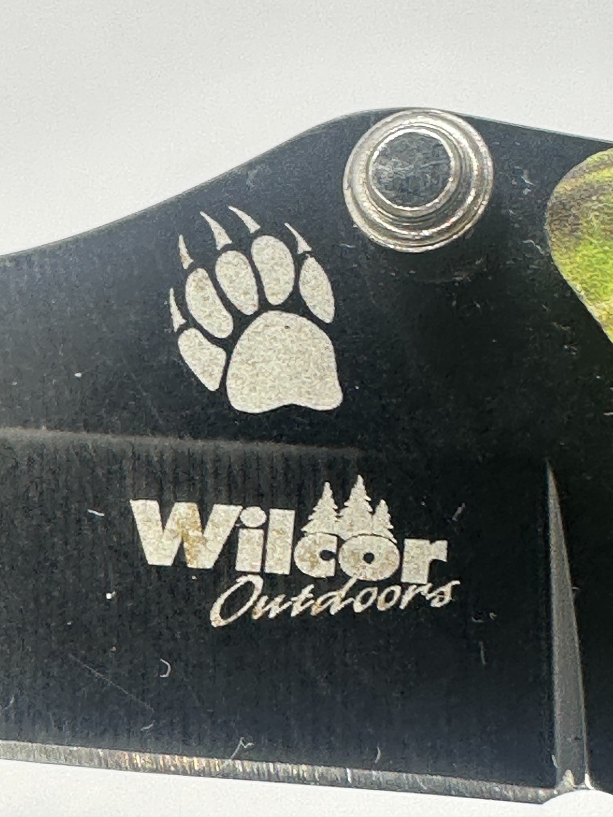 WILCOR KNIVE  BLACK BEAR SERIES "5" INC 440 STAINLESS STEEL