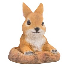 Currious Rabbit Garden