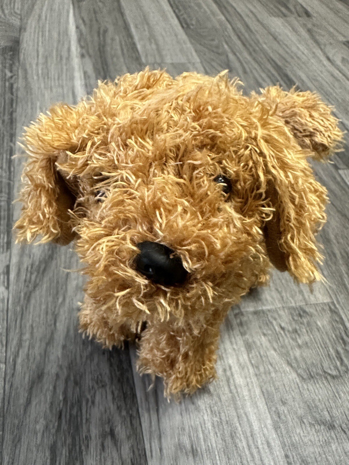 American Girl Daffodil 6” Doodle Dog Labradoodle Poseable 2022 eBay