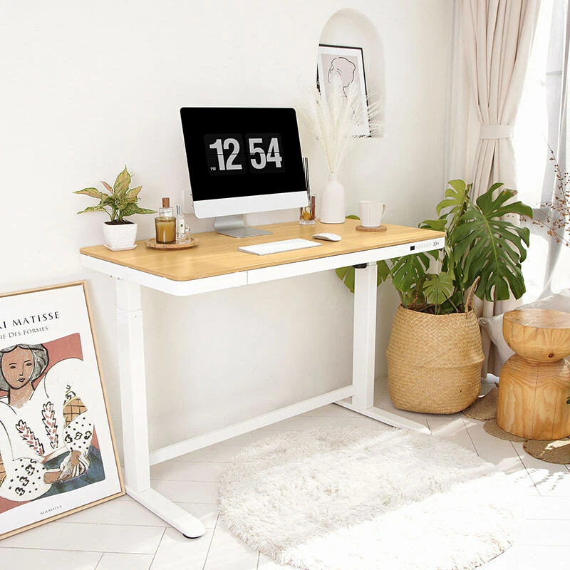 FLEXISPOT 48