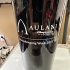 RARE! DISNEY AULANI Ceramic Coffee Tumbler Cup Mug NEW! — photo 2
