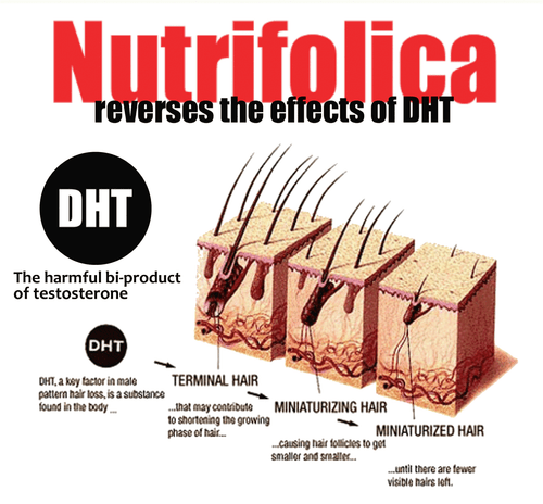 THIS COMBO WORKS : NUTRIFOLICA HAIR LOSS REGROW TREATMENT STOP ALOPECIA REGROWTH - Picture 4 of 12