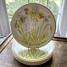 Mikasa Daffodils Everfresh Dinner Plates Set Of 5 (10.5”) Oven To Table