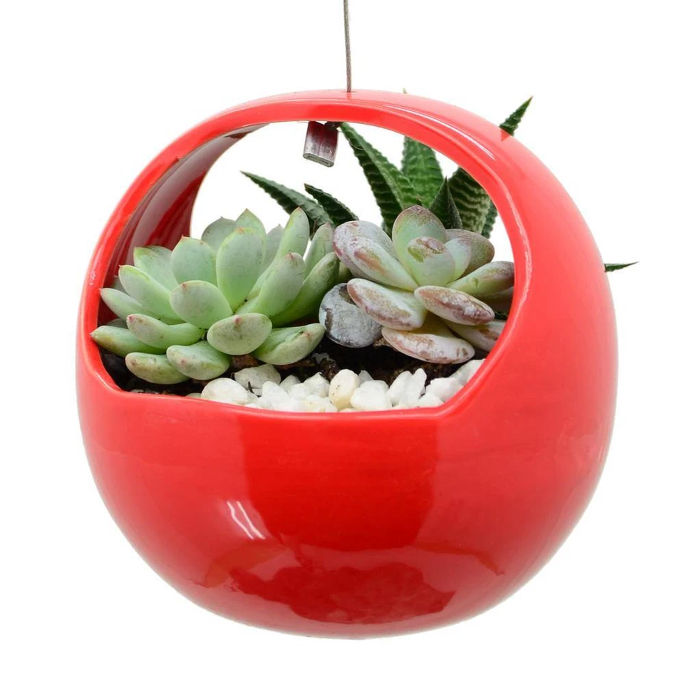 Cesta 4-1/2 pol. X 4-1/2 pol. Plantadeira suspensa de cerâmica vermelha - Imagem 3 de 4