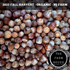 10 POUNDS FRESH 2025 RED OAK ACORNS - DEER & WILDLIFE FEED - PLANTING - NJ FARM!