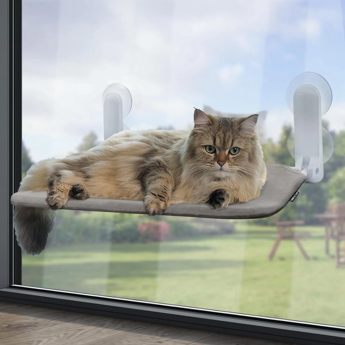 Cat hammock suction clearance cups