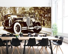 3D Forest Classic Car ZHUB959 Wallpaper Wall Mural Removable Self-adhesive Ann