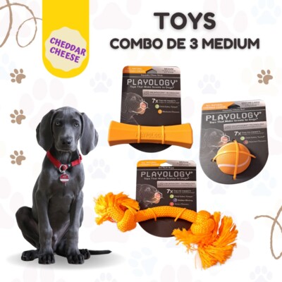 PLAYOLOGY All Natural Scented Dental Chew Dog Toy Combo of pcs L/M New 