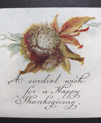A Cordial Wish for a Happy Thanksgiving c1910s Unused UNP Antique Postcard - Picture 2 of 4