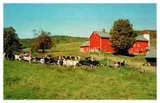 Postcard FARM SCENE Haverhill Massachusetts MA d/20 AU5024