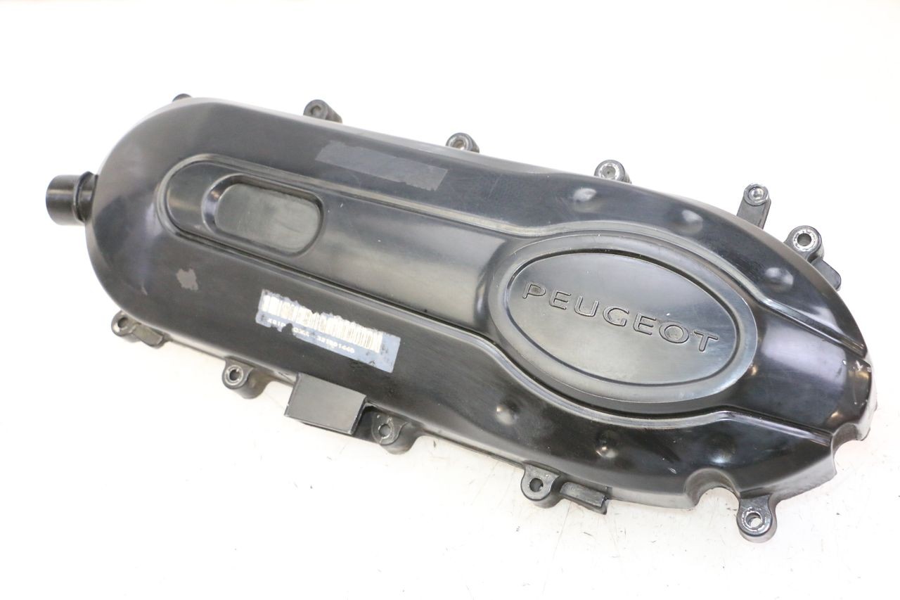 VARIODECKEL - PEUGEOT TWEET PRO CARGO 50 (2018 - 2020)