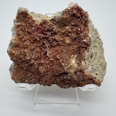 Vanadinite on Matrix Red Orange Crystal Cluster Mineral Specimen Display Piece