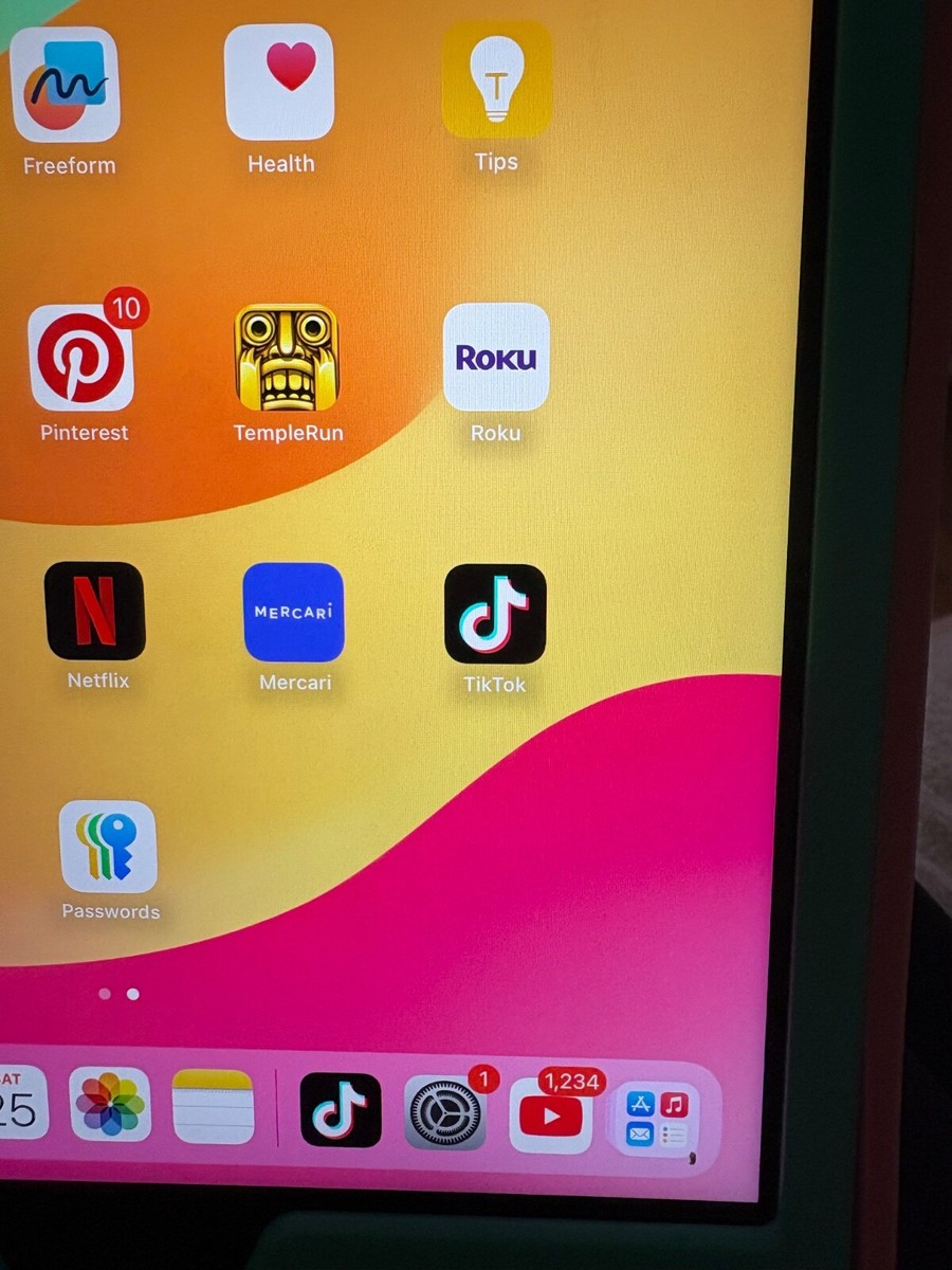 Apple iPad (9th Generation) A2602 64 GB, with TIKTOK 194252515655