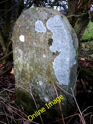 Photo 6x4 Boundary stone and possible bench mark near Beckstones Great Mu c2013